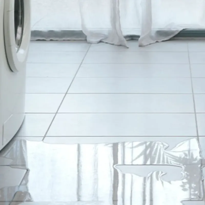 Appliance Leak Cleanup in Alger County, MI