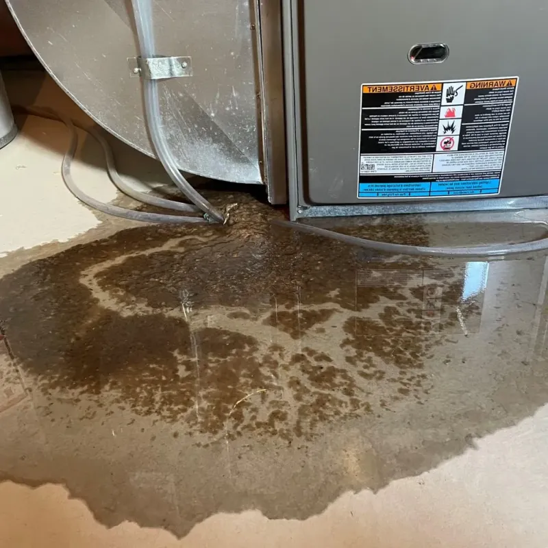 Pipe Burst and Leak Restoration in Alger County, MI