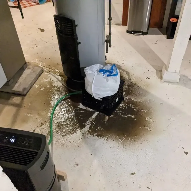 Sewage Backup Cleanup Service in Alger County, MI